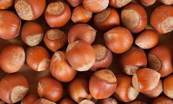 Fındık, Badem ve Ceviz Sağlıklı Beslenmenin Vazgeçilmez Üçlüsü Sağlıklı beslenme denildiğinde akla gelen ilk doğal gıdalar arasında fındık, badem ve ceviz yer alıyor. Yüzyıllardır hem geleneksel mutfaklarda hem de modern beslenme programlarında önemli bir konuma sahip olan bu kuruyemişler, zengin besin değerleriyle dikkat çekiyor. Günlük hayatta ara öğünlerden kahvaltı sofralarına, tatlılardan salatalara kadar pek çok alanda kullanılan bu ürünler, doğal yapıları sayesinde dengeli beslenmenin temel taşlarından biri olarak görülüyor. Konulu bir haber görseli.